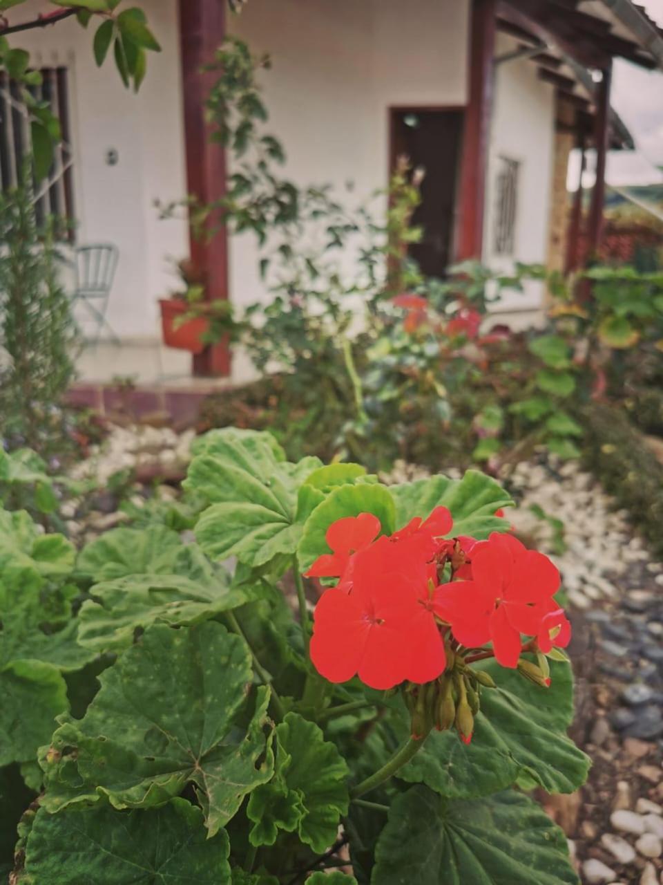 La Cabana - Samaipata Zewnętrze zdjęcie